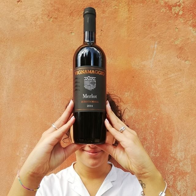 Vignamaggio Merlot Santa Maria IGT | 2015